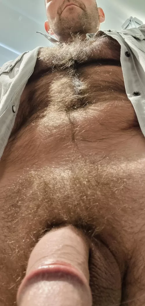 Your view of my hairy chest of 😉 by son2507