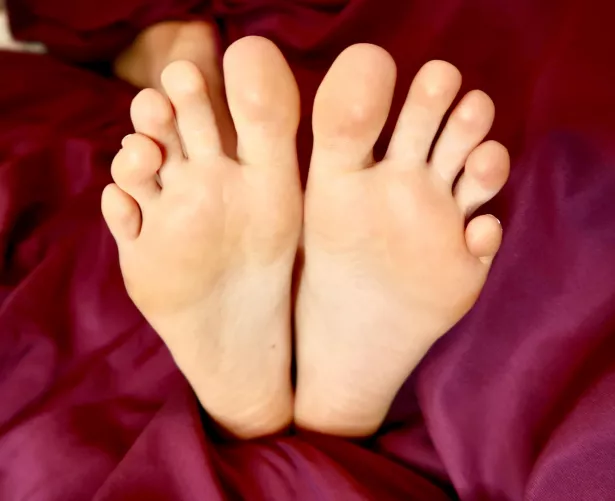 You’re not dreaming by aliptickle