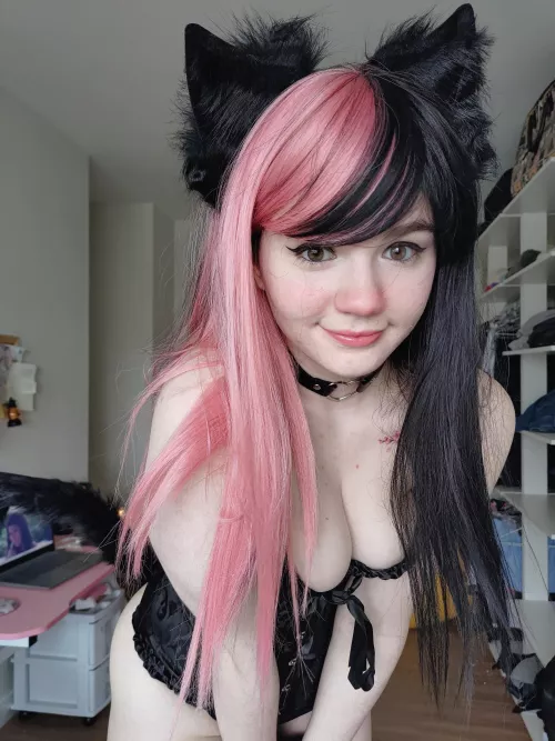 You've just found a black kitty on a halloween night! Do you think that's good or bad luck? by Im_Cherry_Blossom