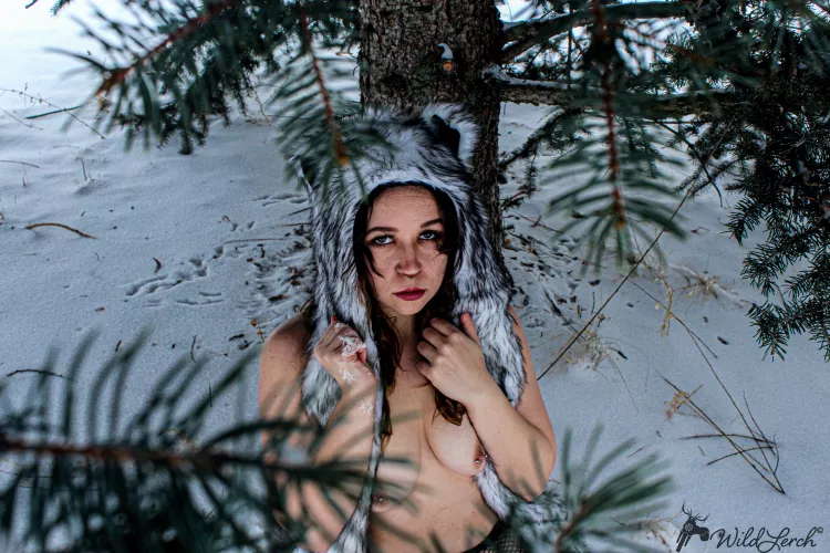 You've stumbled upon my wolf den ... by AutumnSunshiine