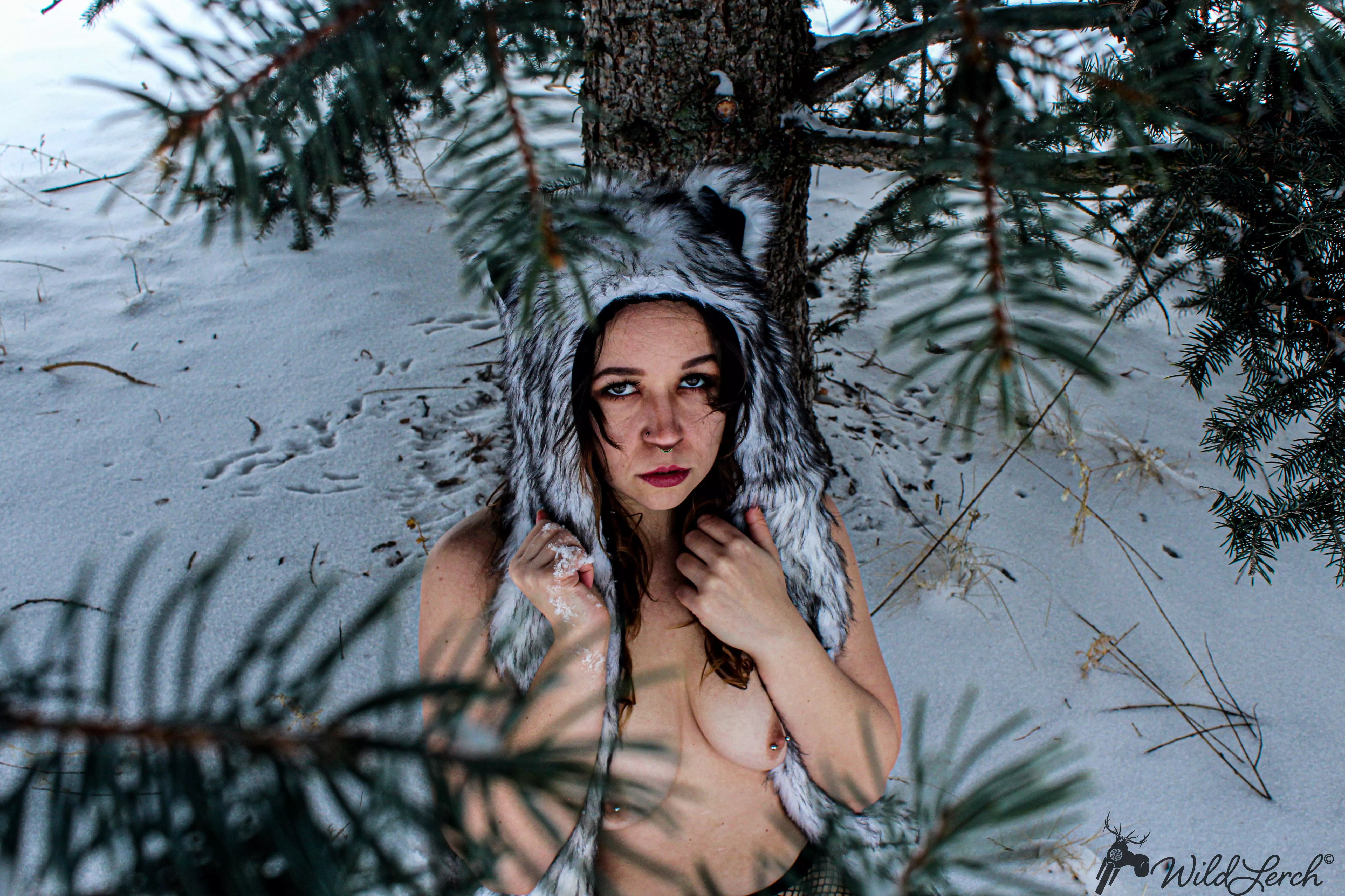 You've stumbled upon my wolf den ... posted by AutumnSunshiine