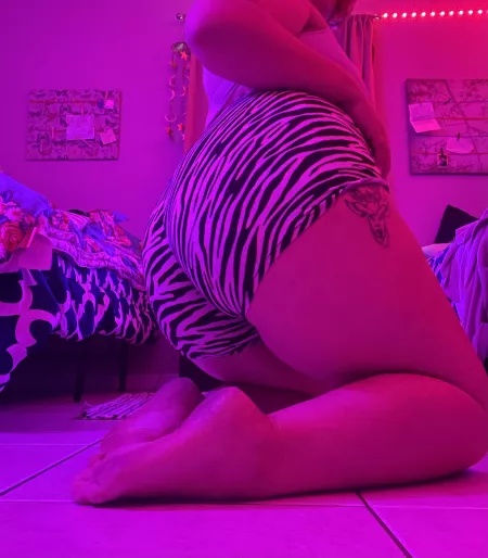 Zebra cake! by loubellaxx