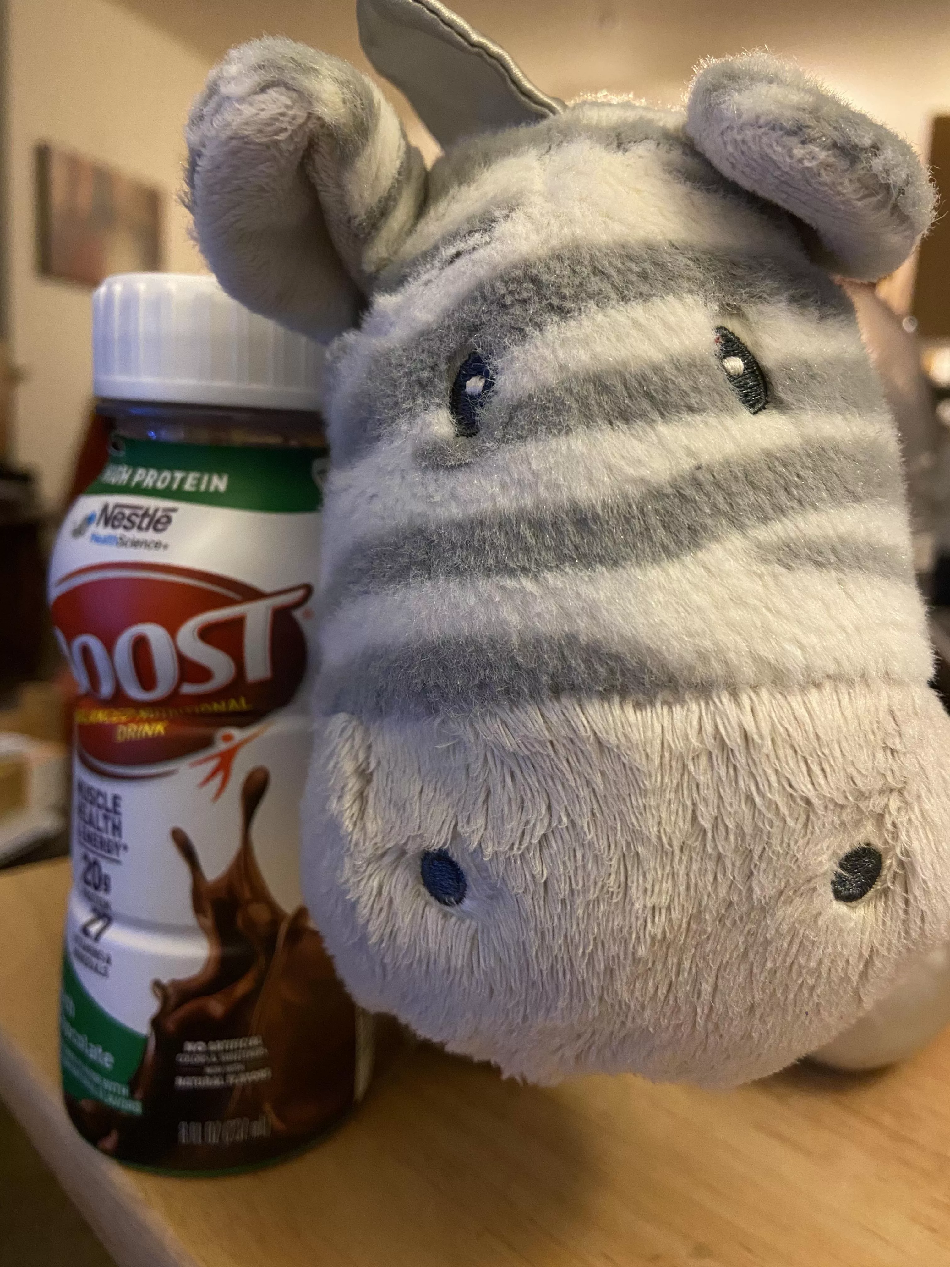 Zed is here to keep us company while we work on our writing. Also we’re having Boost for dinner, because some days our body just doesn’t want to play nice. 🤷‍♀️😕 posted by Lil_Ktbug